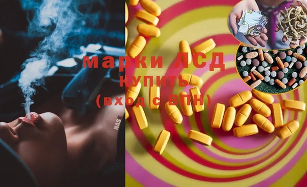 PSILOCYBIN Богданович