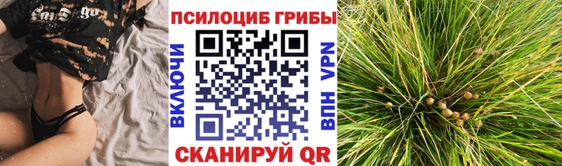 Купить закладки  Заполярный  Галлюциногенные грибы прущие грибы 